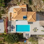Dinos With Swimming Pool * Anninata