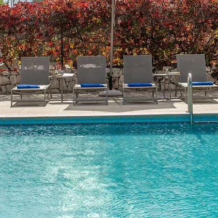 Dinos With Swimming Pool